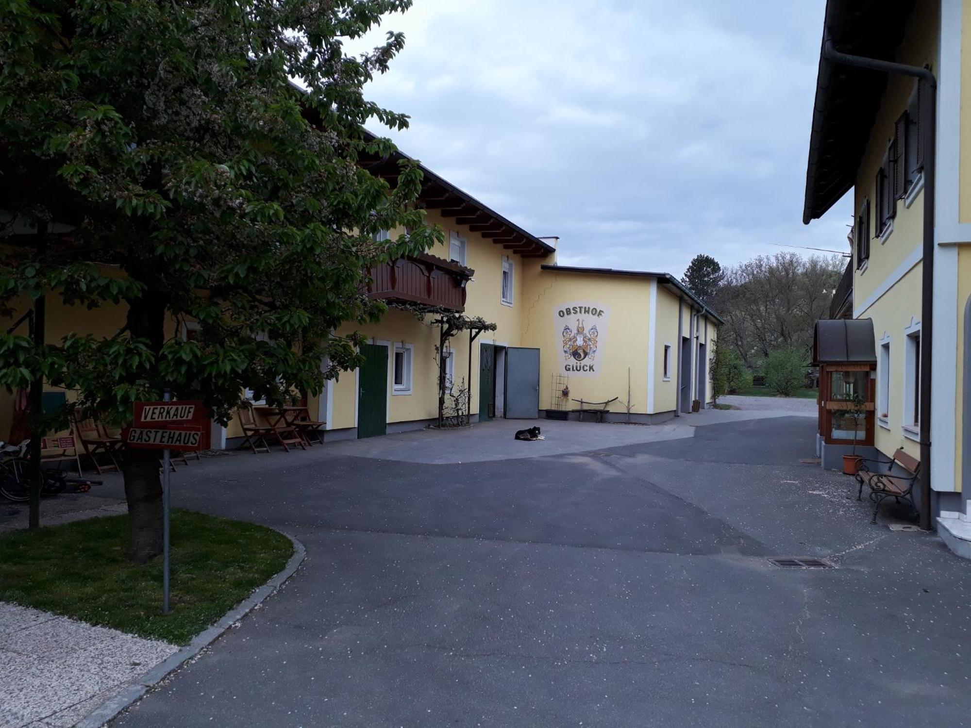 Bed and Breakfast Obsthof Glueck à Gamlitz Extérieur photo
